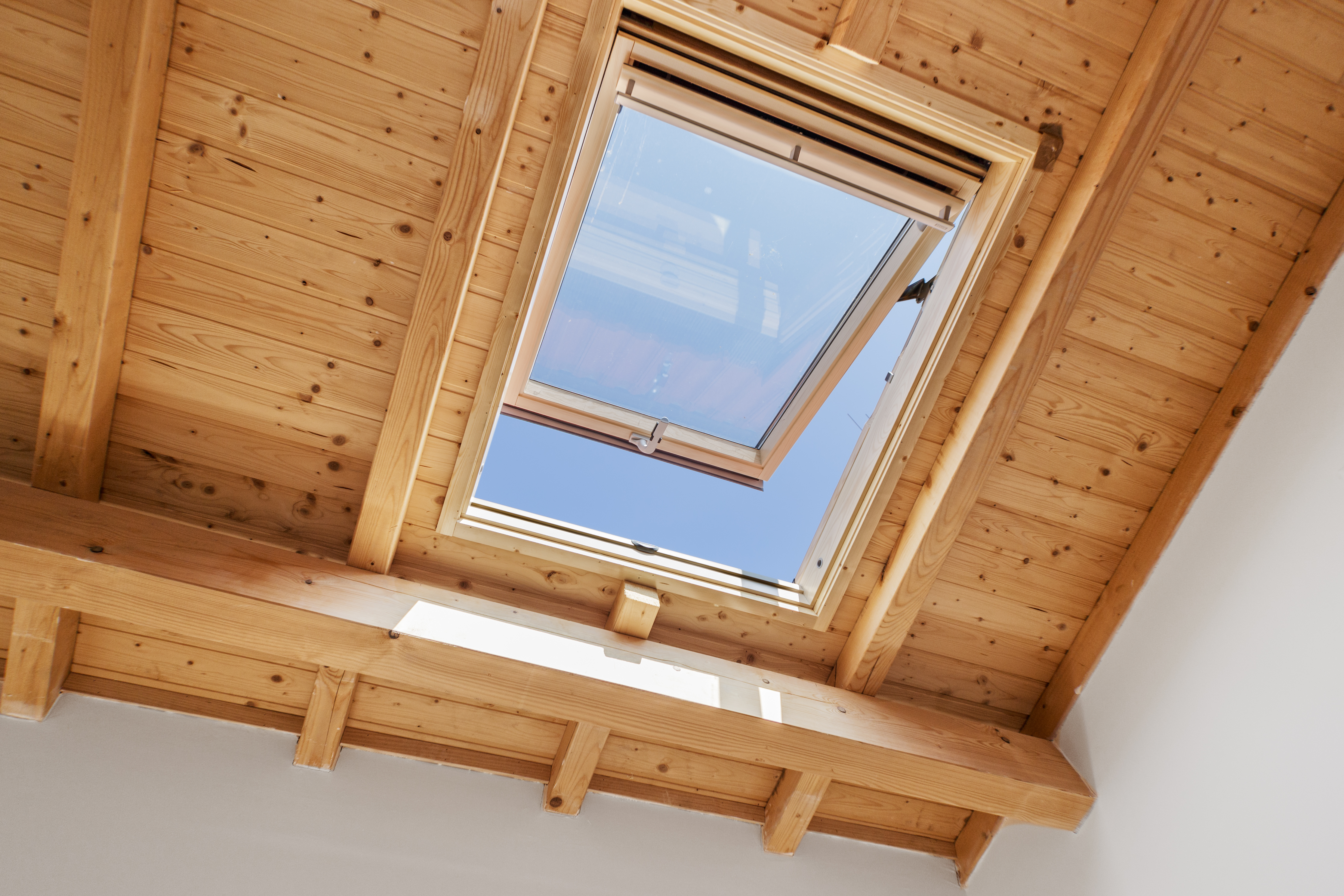Fenster und Dachfenster